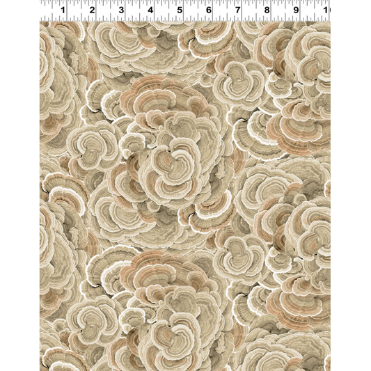 Nature Study ~ Digital Turkey Tail ~ Y4856-12 Khaki