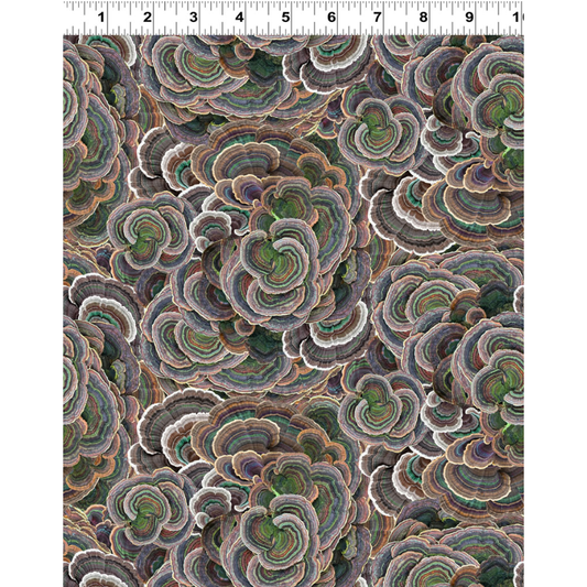 Nature Study ~ Digital Turkey Tail ~ Y4856-15 Brown