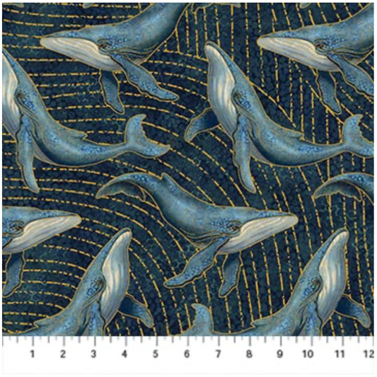 Moonbeam | Whales - 29422M-49