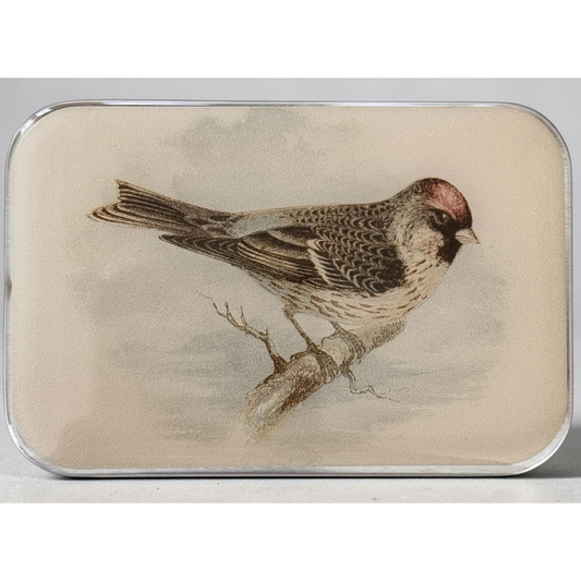 Tin Container with Magnet Large | Redpoll Bird