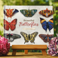Inspirations | Beautiful Butterflies