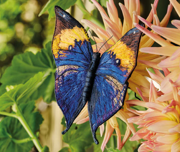 Inspirations | Beautiful Butterflies