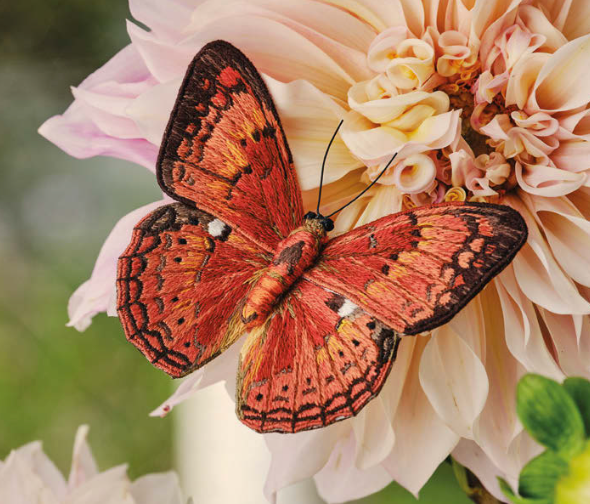 Inspirations | Beautiful Butterflies