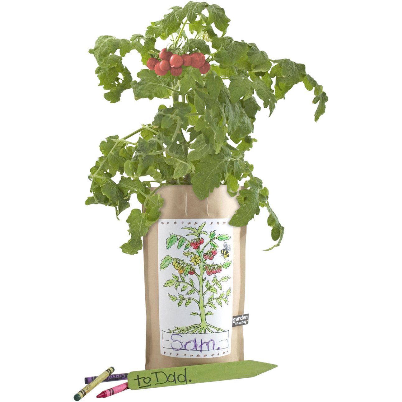 Kids Garden in A Bag | Tomato