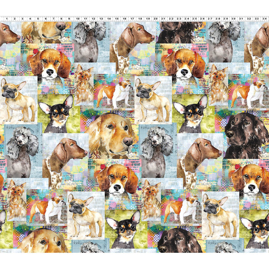 Best Friends ~ Collage ~ Y4281-55 Multi Color