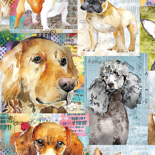 Best Friends ~ Collage ~ Y4281-55 Multi Color