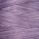 Catmint 1312