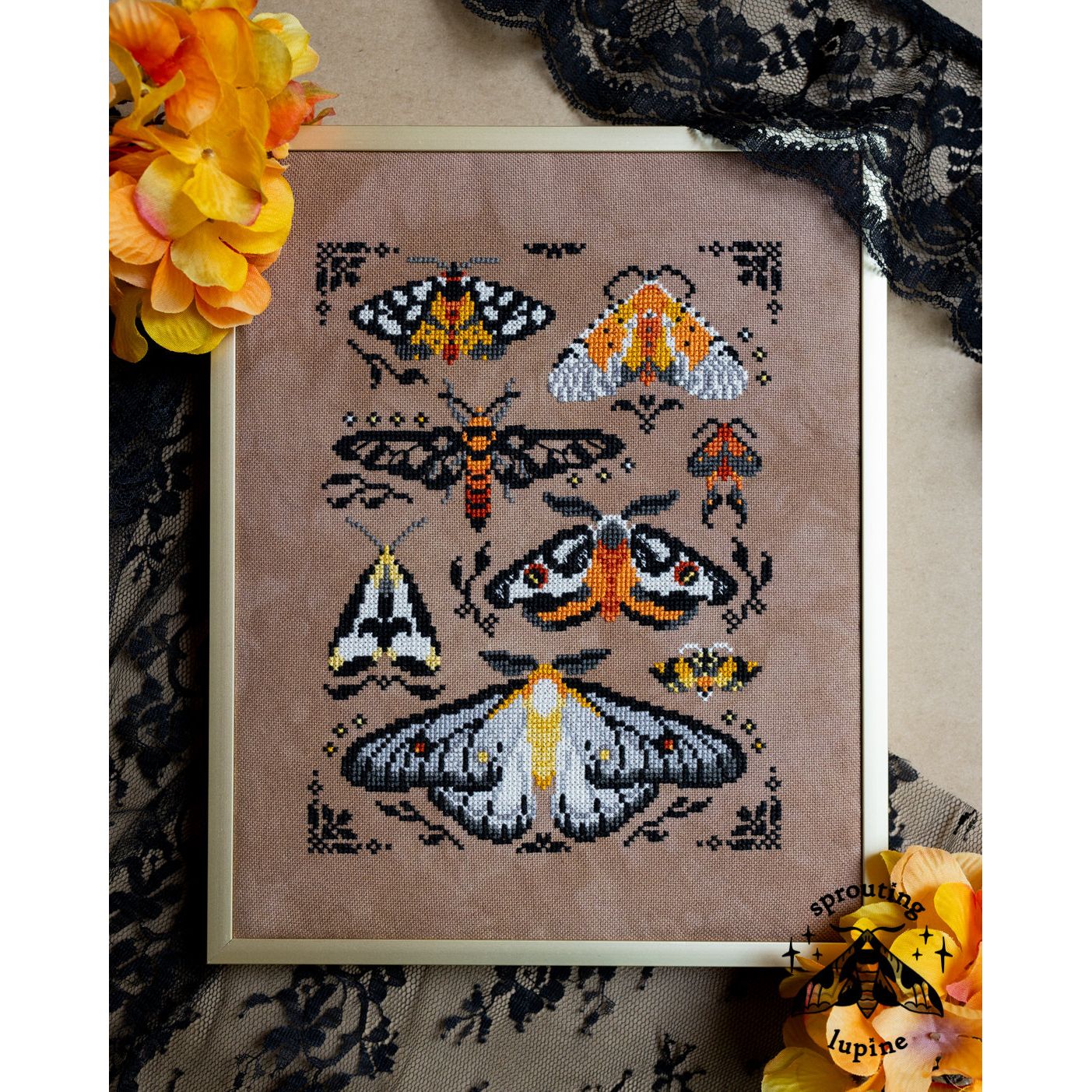 Sprouting Lupine | Ochre Wings NM2026