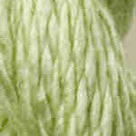 Vineyard Silk Classic | 064 Daiquiri
