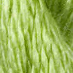 Vineyard Silk Classic | 061 Shamrock