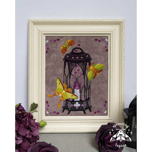 Sprouting Lupine | Violet Glow NM2026