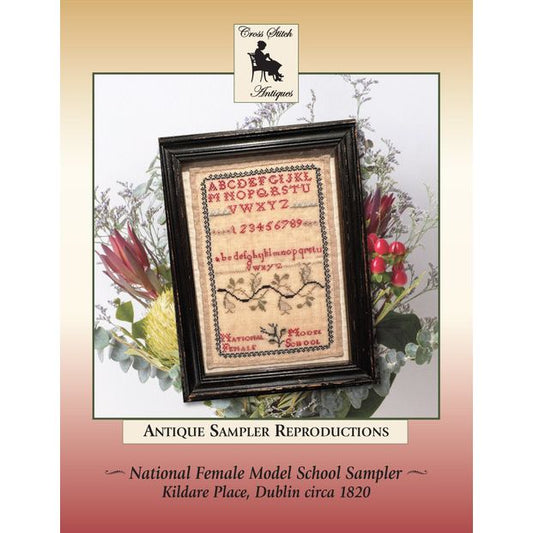 Cross Stitch Antiques | National Female Model School Sampler Kildare Place, Dublin circa 1820 MARKET 2026