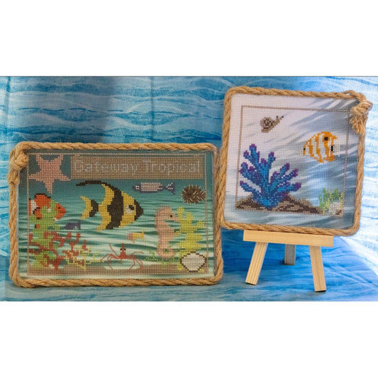 SamBrie Stitches | Gateway Tropical  NM2026