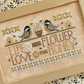 Sweet Wing Studio | WordyBirds - May MARKET 2026