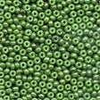 02053 Opaque Celadon Seed Beads