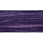 Purple Iris 0810