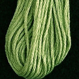 19 Deep Lime