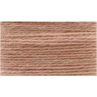 Rainbow Persian ~ RP080 Almost Apricot