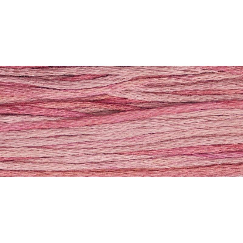 Camellia 2276