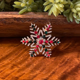 Broche de Noel (Star)