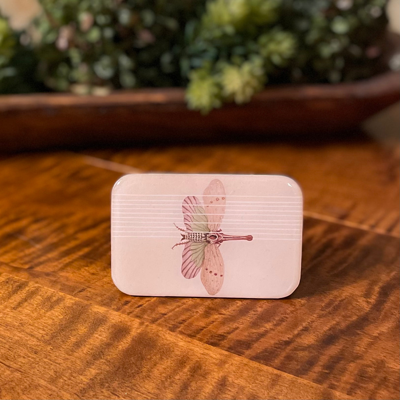 Tin Container with Magnet Large | Spring Moth