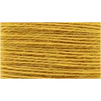 Rainbow Persian ~ RP051 Daffodil