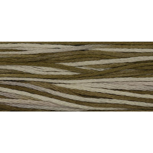 White Walnut 1211