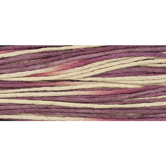 Raspberry Tart 1337