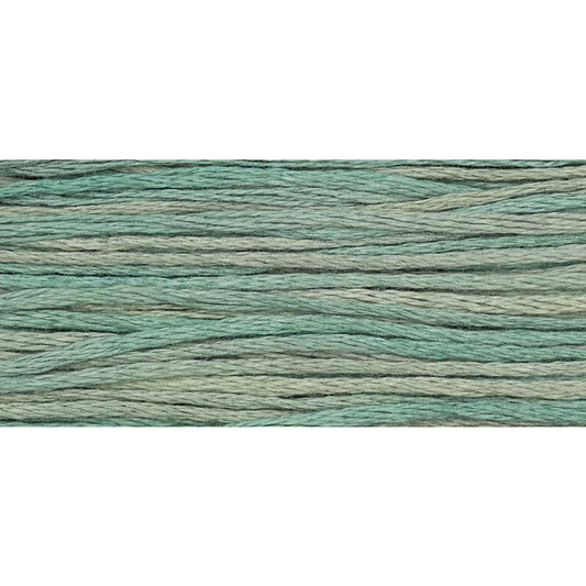 Blue Fescue 2116