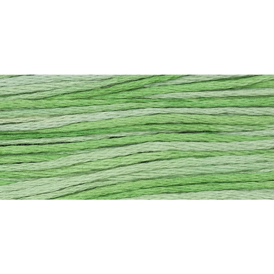 Cactus 2181