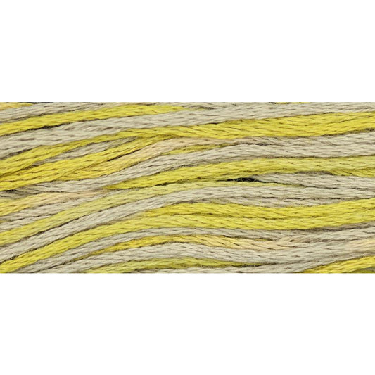 Citron 2216