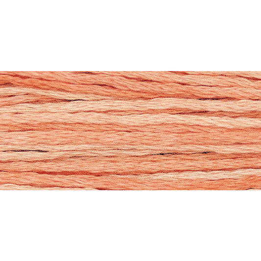 Cantaloupe 2243