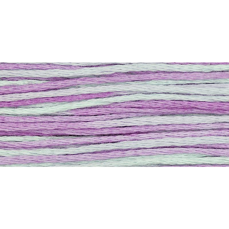 Blue Aster 2306
