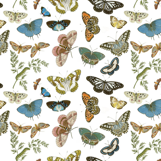 Gift Wrap ~ Butterflies and Moths