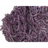 Lady Dot Creates ~ Grape Fizz Pom Pom Trim
