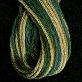 M19 Olives