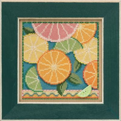 Buttons & Beads ~ Citrus Cross Stitch Kit