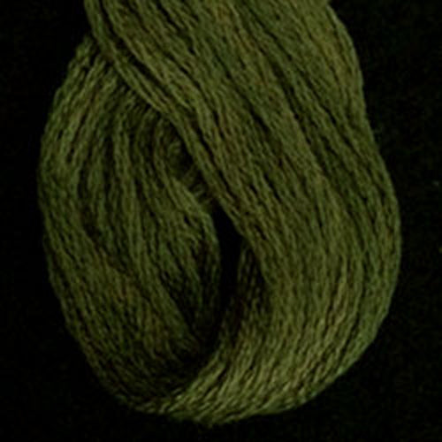 O1901 Lichen Moss