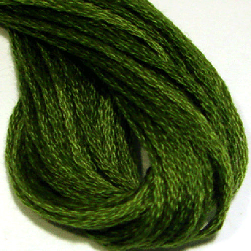 O560 Morning Grass