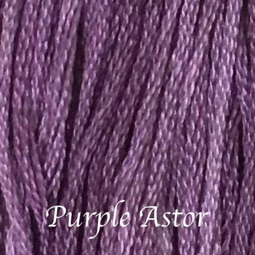 Purple Aster