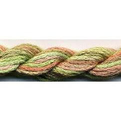 Bush Baby S-045
