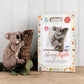 The Crafty Kit Company ~ Sleepy Koala Needle Felting Kit