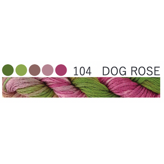 104 ~ Dog Rose
