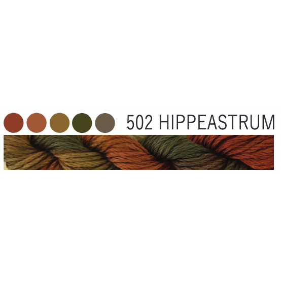 502 ~ Hippeastrum