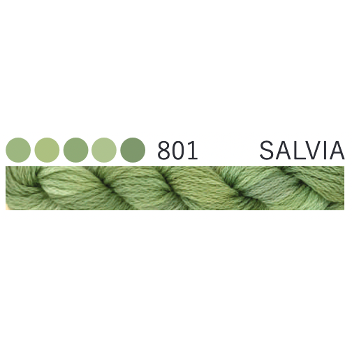801 ~ Salvia