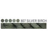 807 ~ Silver Birch