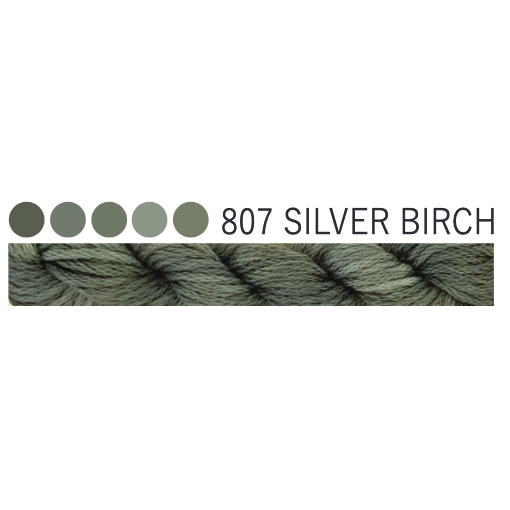 807 ~ Silver Birch