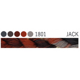 1801 ~ Jack