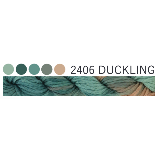 2406 ~ Duckling