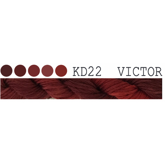 KD22 ~ Victor